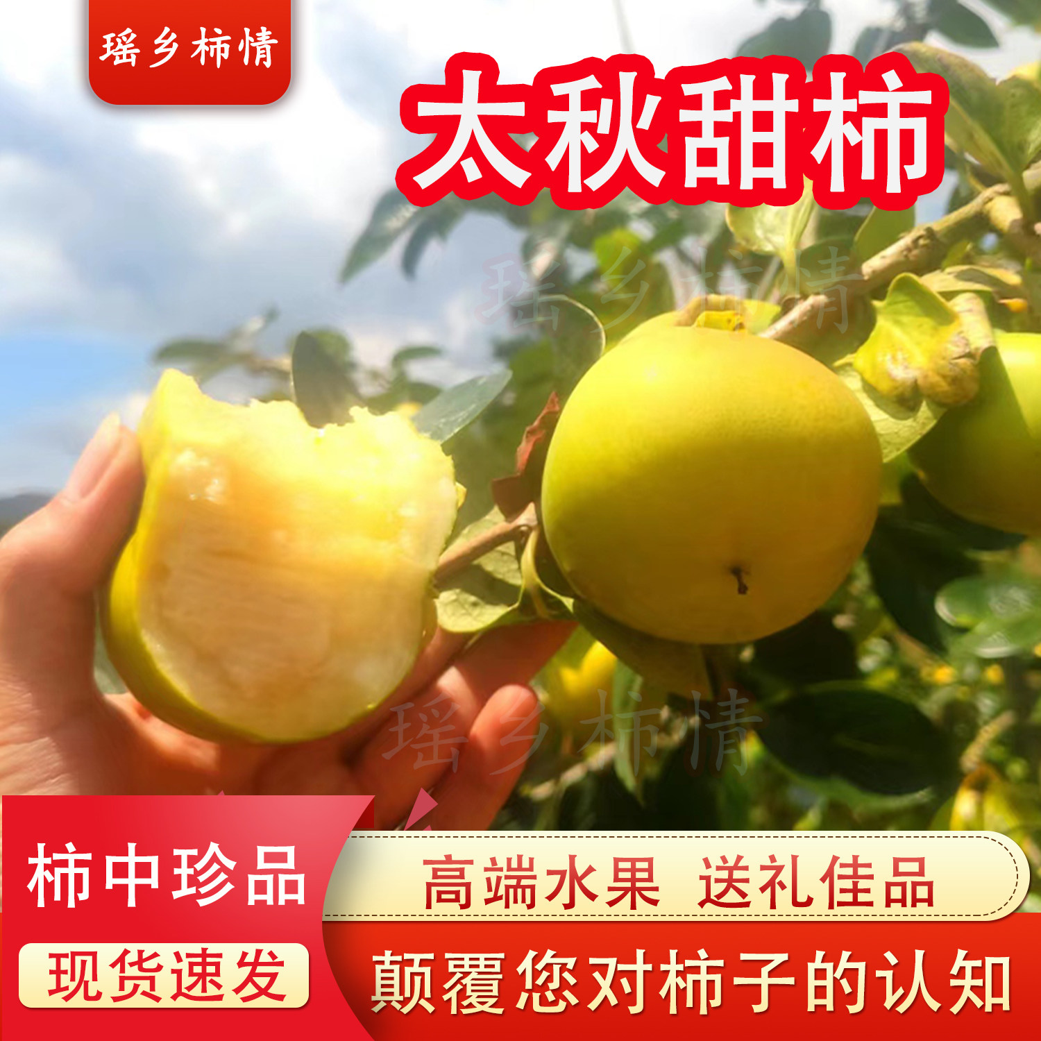 正宗太秋甜柿太秋脆柿子大秋甜柿广西脆柿子9斤水果硬柿子礼盒装