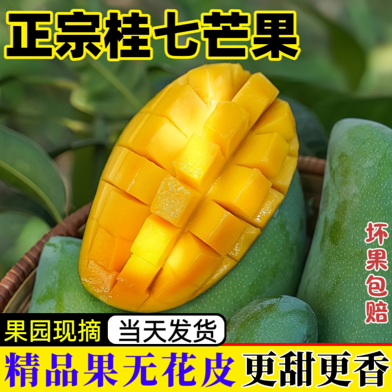 广西田东桂七芒果新鲜香芒正宗百色芒果直发鲜甜多汁应季水果