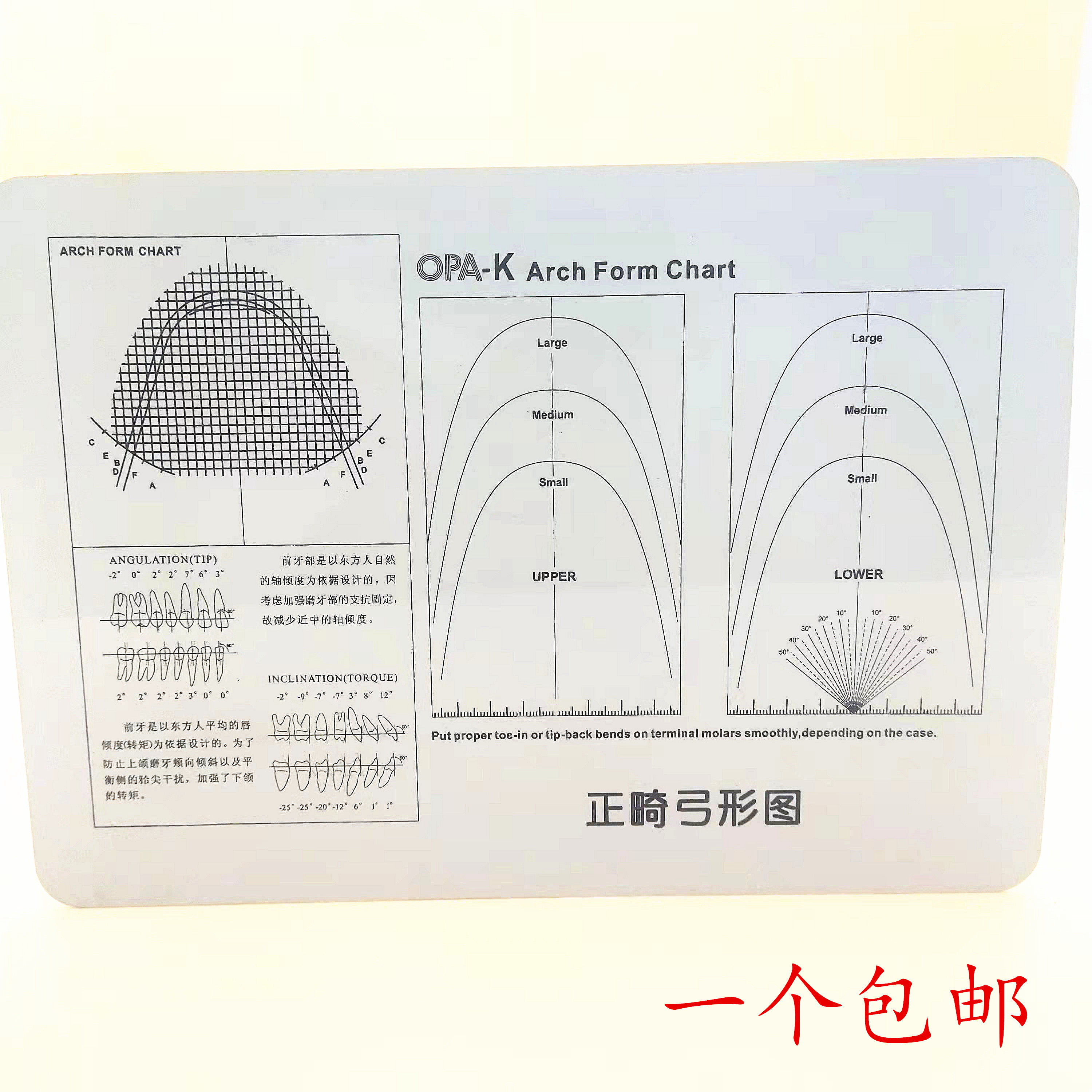 牙科口腔标准正畸弓形图上颌标准弓形图 正畸弓丝图 包邮