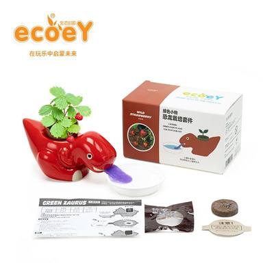 Ecoey桌面绿植迷你小盆栽恐龙种植草莓儿童玩具植物室内礼物