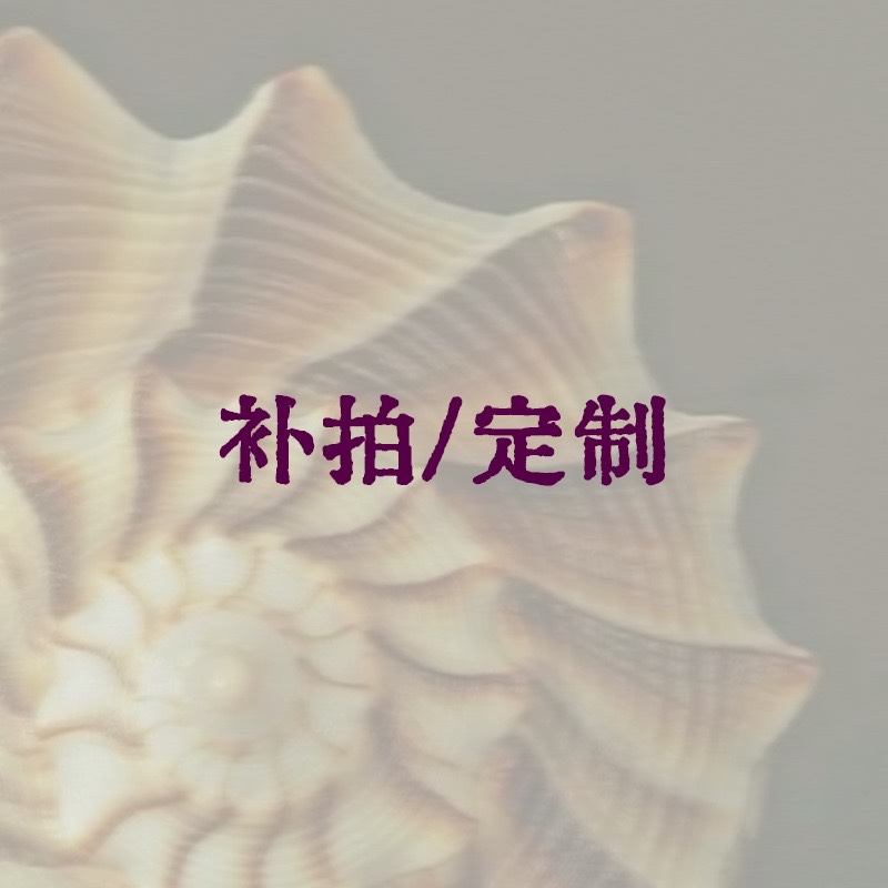 邮费补拍/定制 一元链接