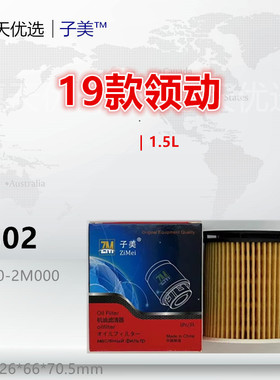 H302适配途胜L 索纳塔 伊兰特 库斯途 ix25领动 名图 菲斯塔 机滤