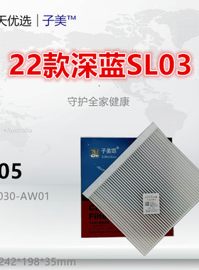 C105适配 深蓝S7 G318 S07 L07 SL03 F150 睿骋CC 空调滤芯