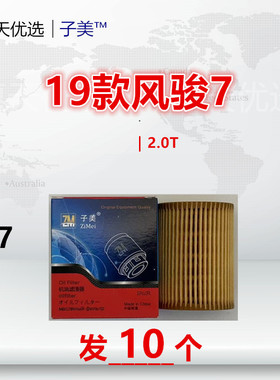 C17适配风骏5 风骏7 炮 H5 览拓者 凯程F70 威狮 2.0T柴油 机油滤