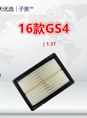 C801适配传祺GS4 GM6 GA4 GS5 GS3 M6 GA3S视界 空气滤芯清器格