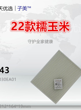 C143适配长安22款lumin 糯玉米 电动车 空调滤芯清器冷气格