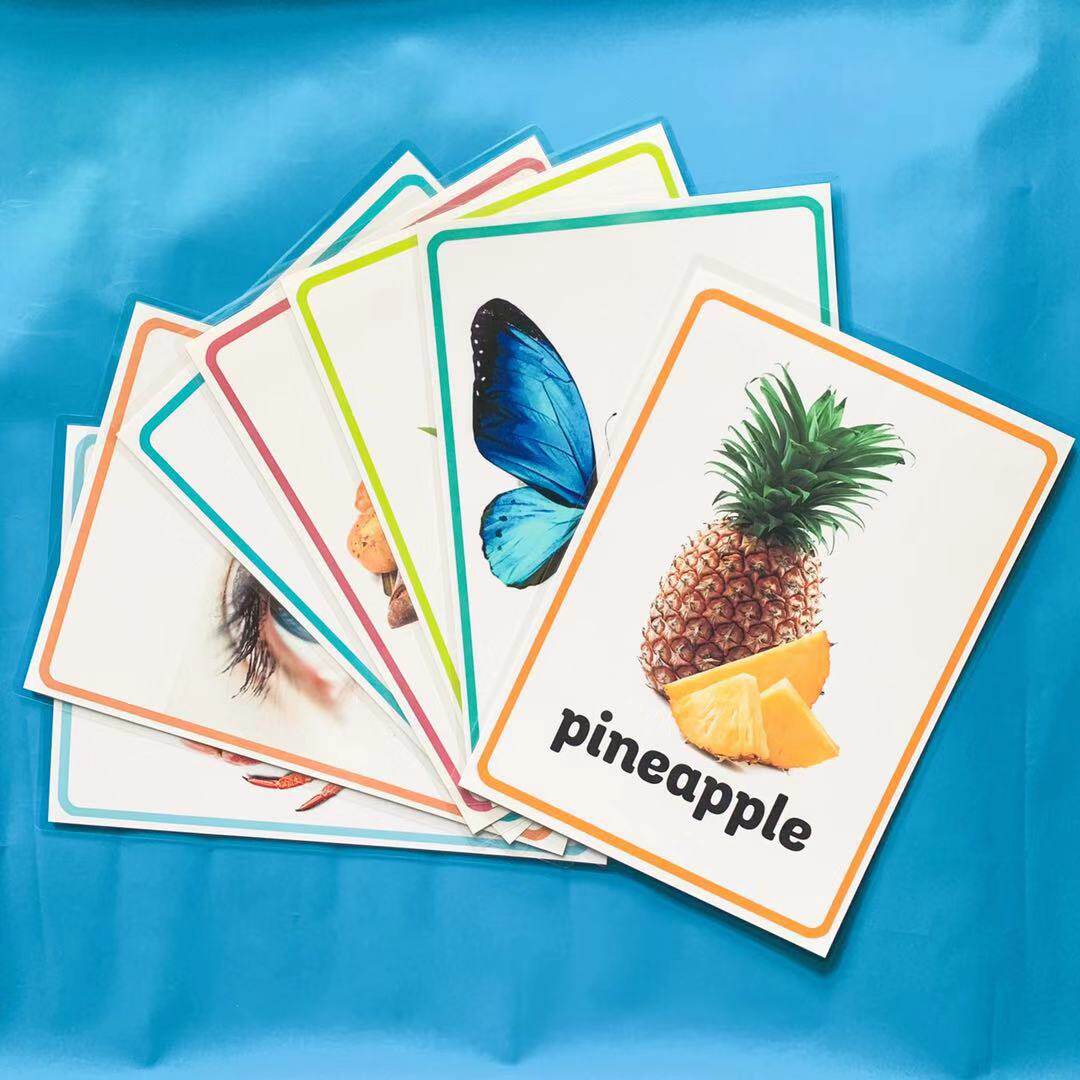 英语单词教学教具水果蔬菜动物食物身体部位闪卡大卡a4塑封