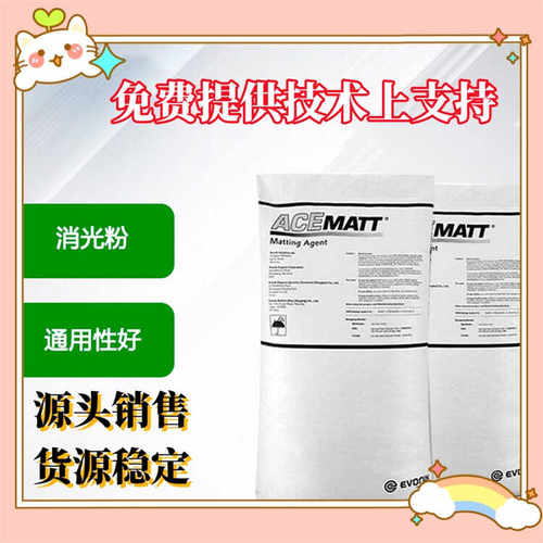赢创德固赛消光粉OK607消光剂TS100哑光500 520 TT3300 900 TT600