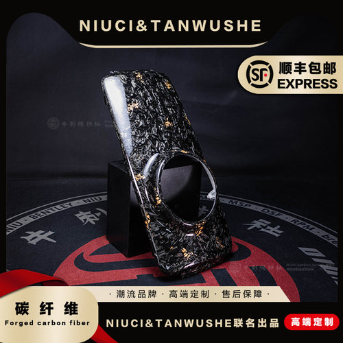 NQI/N1S/N1外壳大灯面板碳纤维