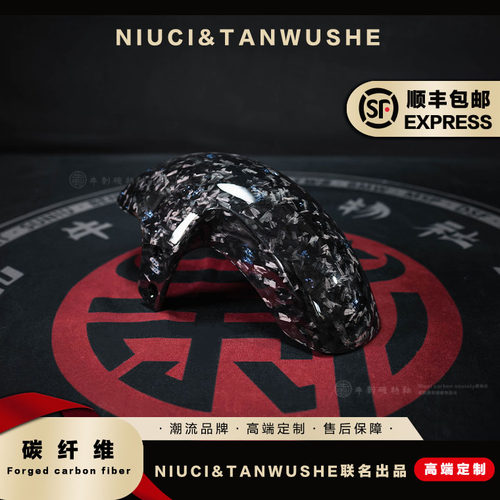 九号E200P原厂挡泥板改装锻造蓝箔碳纤维前挡泥板电动车挡泥瓦