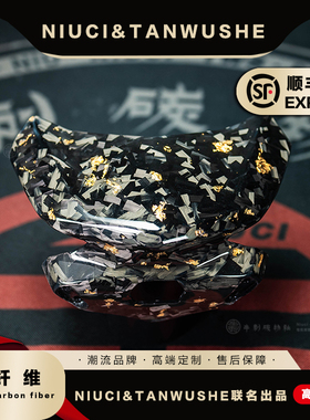 FC155九号小牛电动车E200P摩托车改装碳纤维蜂窝斜纹锻造c