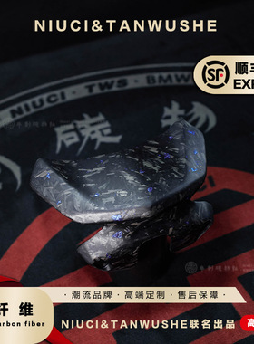 小牛电动车九号E200P电瓶车FC155改装锻造哑光蓝箔碳纤维挡风板