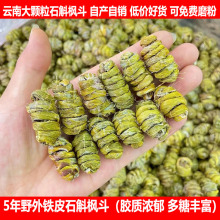 铁皮石斛官方正品 鲜条粉 旗舰店干铁皮枫斗中药材500g云南霍山正品