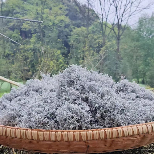 深山绿色纯手工农家自产莓茶