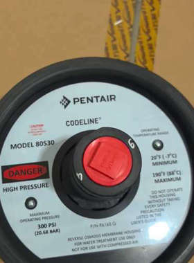 台州设备PENTAIR  MODEL 80S30  端盖- 未使