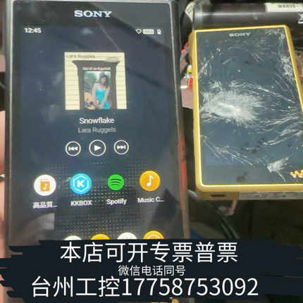 台州 NW-WM1ZM2金砖2代 WM1AM2黑砖