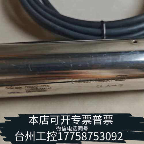 台州设备E+H恩德斯豪斯/溶解氧/COS61D-AAA1A2