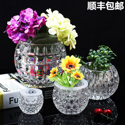 金钱花几价格 金钱花几图片 星期三