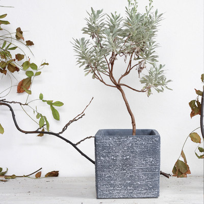 北欧花卉室内办公多肉植物巴西木盆栽方形绿萝盆陶瓷水泥花盆托盘 虎窝淘