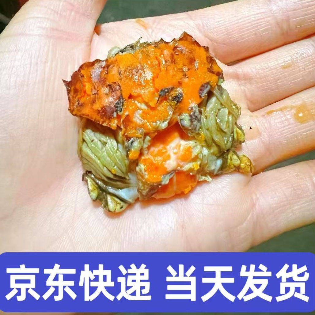 鲜活小螃蟹0.6-1.2两香辣醉蟹老头蟹海鲜水产毛蟹-江苏河蟹