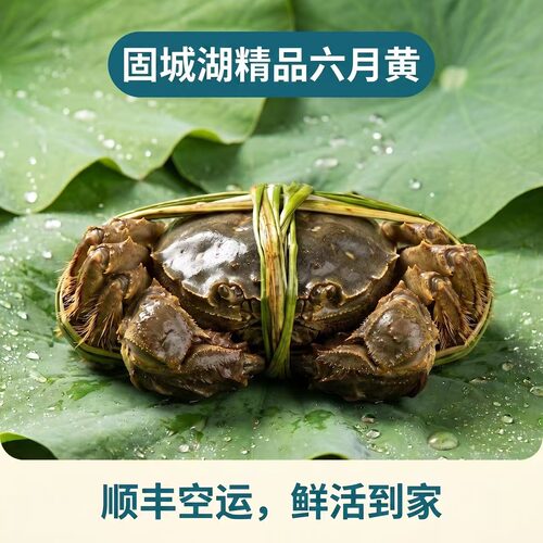 南京高淳固城湖六月黄螃蟹2-3两