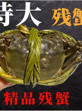 断腿断脚蟹固城湖大闸蟹特大残次鲜活螃蟹母蟹净重2.5两-2.8两8只