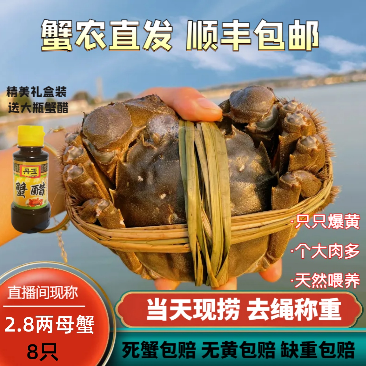 礼盒装固城湖大闸蟹鲜活现捕现发