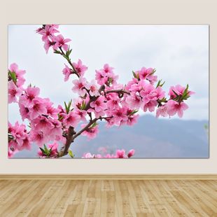 桃花海报田园风光壁画桃花贴画自然美景风景挂画房间自粘装饰图画