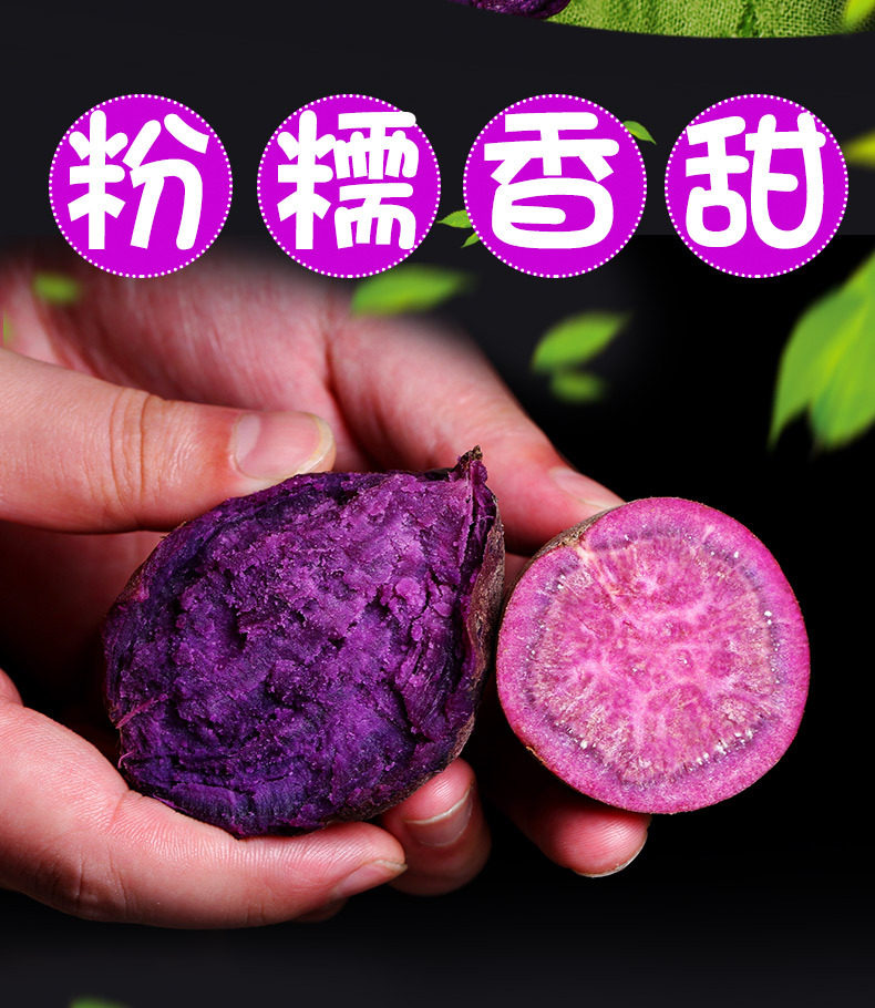 紫薯新鲜10斤番薯地瓜农家蜜薯有机板栗红沙地薯糖心山芋蔬菜烟薯