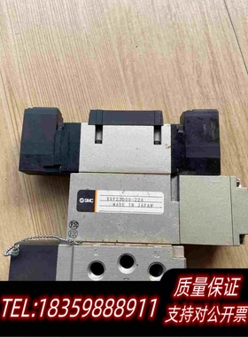 全新库存VVFS3000-22A需询价