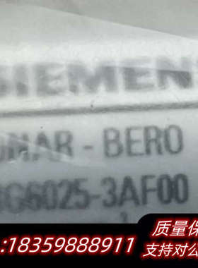 3RG6025-3AF00议价