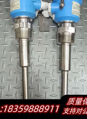 E+H Soliphant T FTM20-AN42A议价