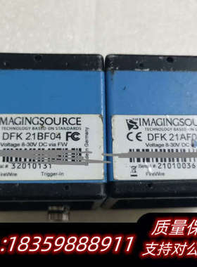 IMAGNGSOURCE映美精 DFK 21BF04 彩色议价