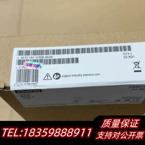 6ES7197-1LB00-0XA0  197-1LB00-议价
