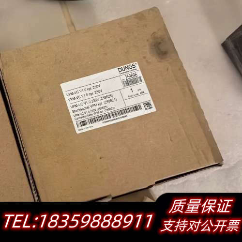 DUNGS冬斯VPS504S02检漏仪，带，议价