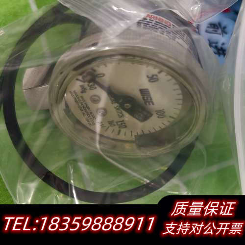 品牌WISE 电接点压力表 VCR 母头议价
