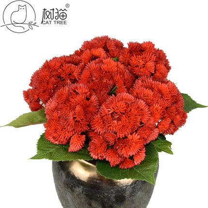 厂家直销仿真花人造菜花萌萌果粒婚庆手捧花餐桌橱窗装饰摆放花艺