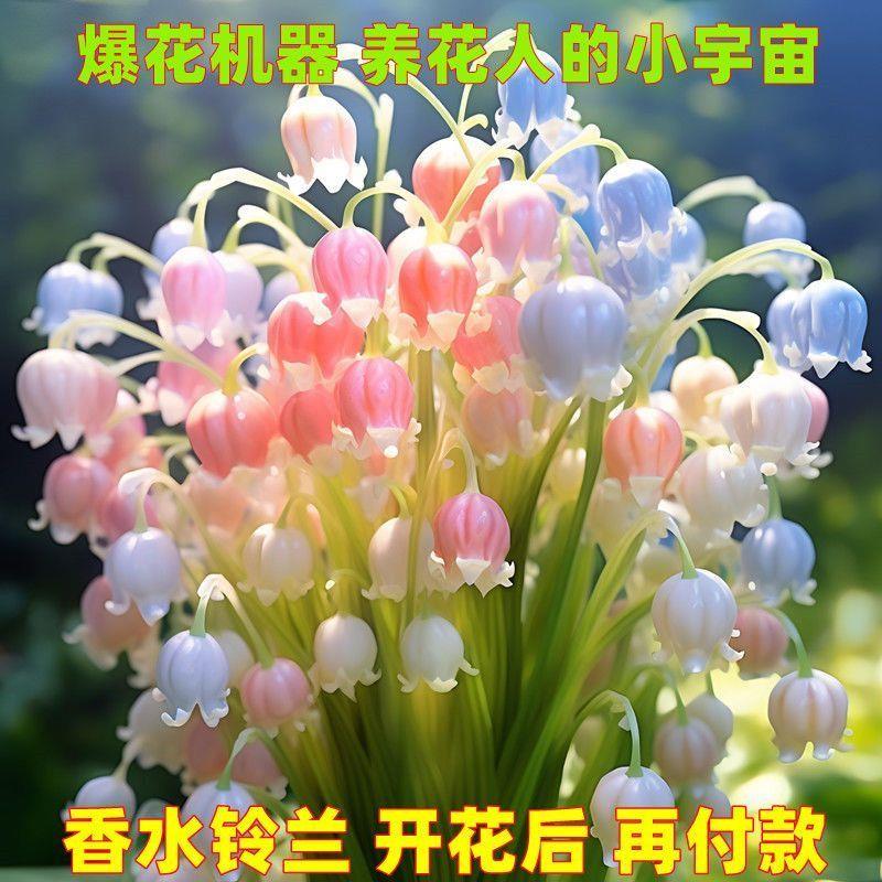 铃兰花苗带牙浓香型花卉绿植办公室内阳台多年生四季开花耐寒植物