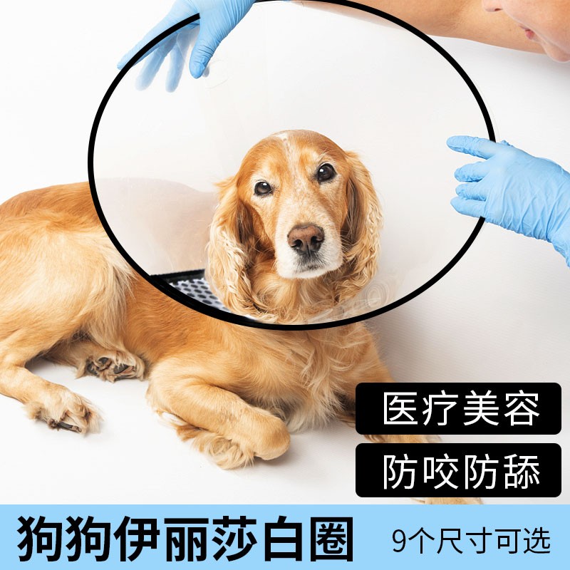 宠物狗狗伊丽莎白圈狗大型犬不影响吃饭防舔防咬头套脖套绝育项圈-封面