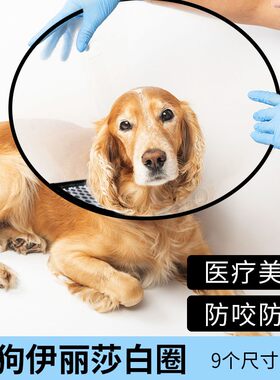 宠物狗狗伊丽莎白圈防舔防咬头套