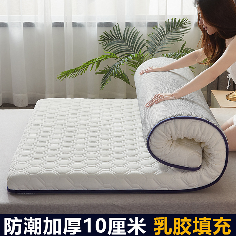 防潮加厚10cm四季通用