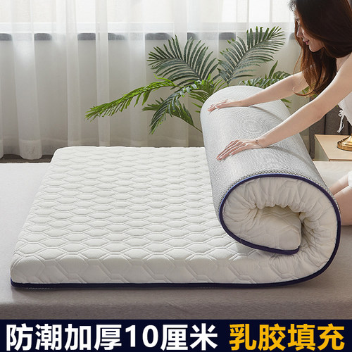 防潮加厚10cm四季通用