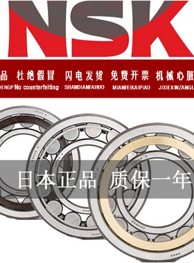 NSK进口 N304 305 306 307 308 309 310 EW EM C3  圆柱滚子轴承