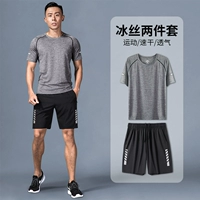 Технология двух -новая модель [Fengming jiuxiao]