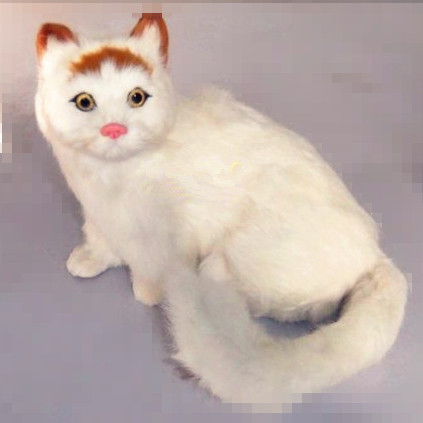 猫仿真动物模型摄影道具