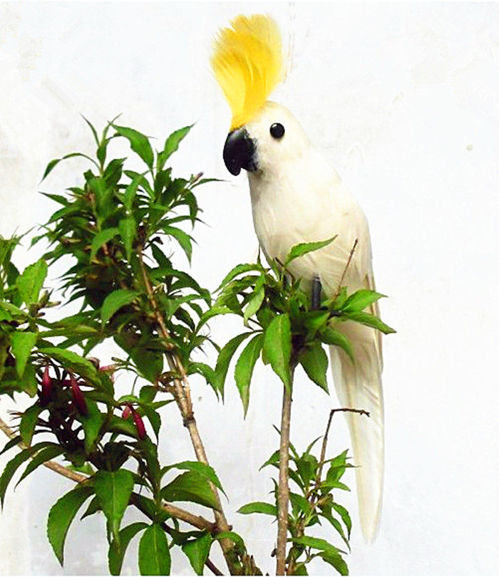 定做仿真鹦鹉 园林装饰 摄影道具 羽毛玄凤鹦鹉 仿真鸟 动物模型