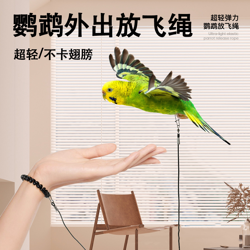 鹦鹉外出放飞绳超轻训练弹力绳不伤脚虎皮牡丹玄凤户外飞行牵引绳