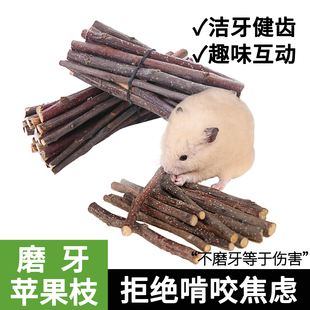 仓鼠磨牙棒金丝熊苹果枝玩具自嗨解闷啃咬健齿互动造景专用品大全
