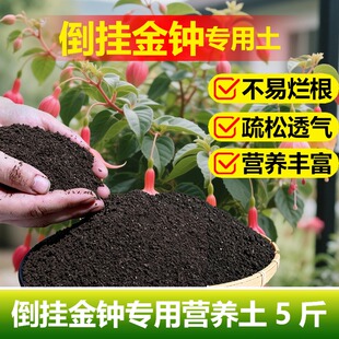 倒挂金钟专用土料老桩盆栽小苗倒挂金钟花肥营养土土培花卉土家用