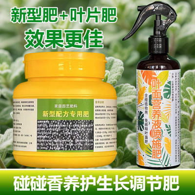 碰碰香老桩专用肥料水培专用土培多肉植物营养液盆栽养殖叶面肥料